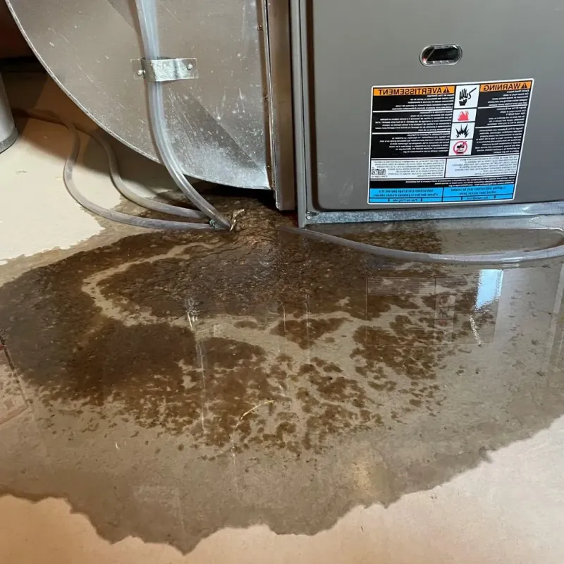 Pipe Burst and Leak Restoration in Wellsville, NY