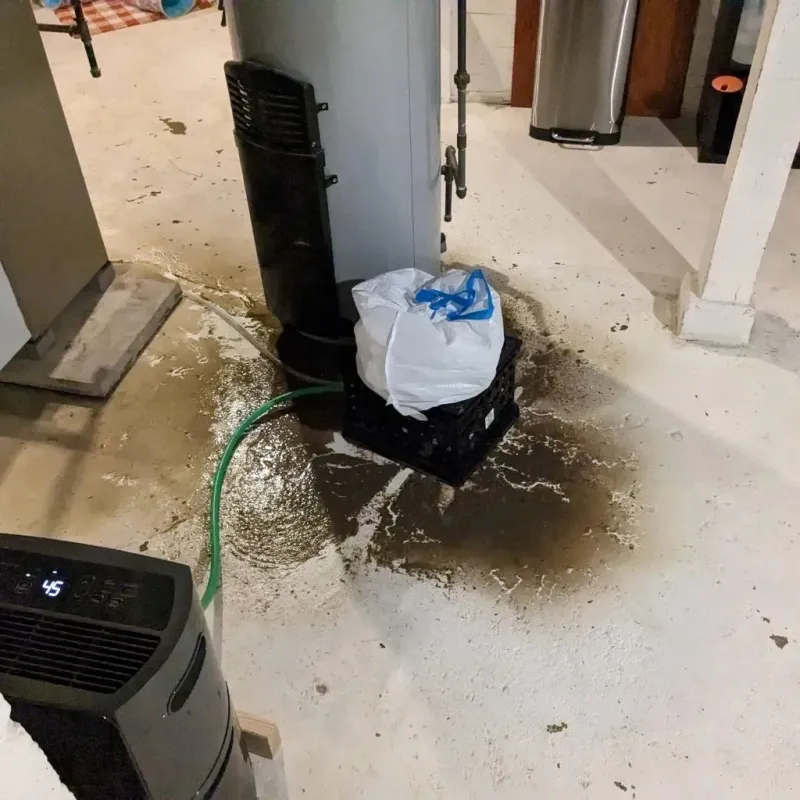 Sewage Backup Cleanup Service in Wellsville, NY